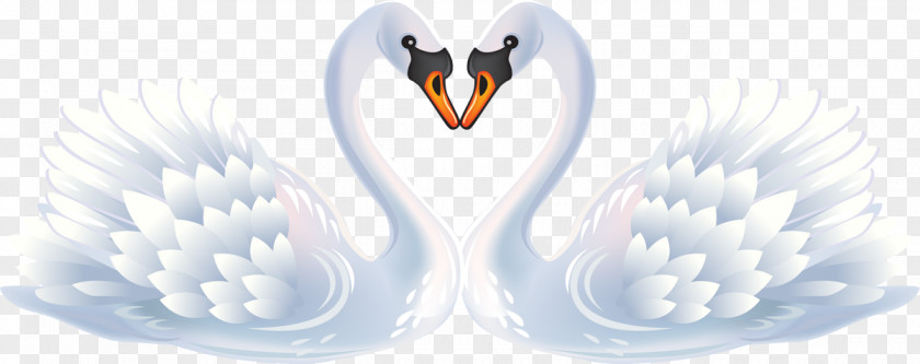 Swan Black Clip Art PNG