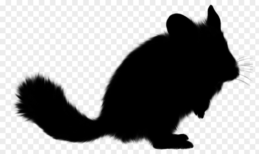 Whiskers Cat Rat Dog Squirrel PNG