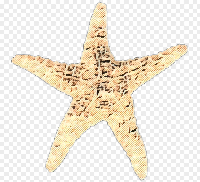 Beige Star Cartoon PNG