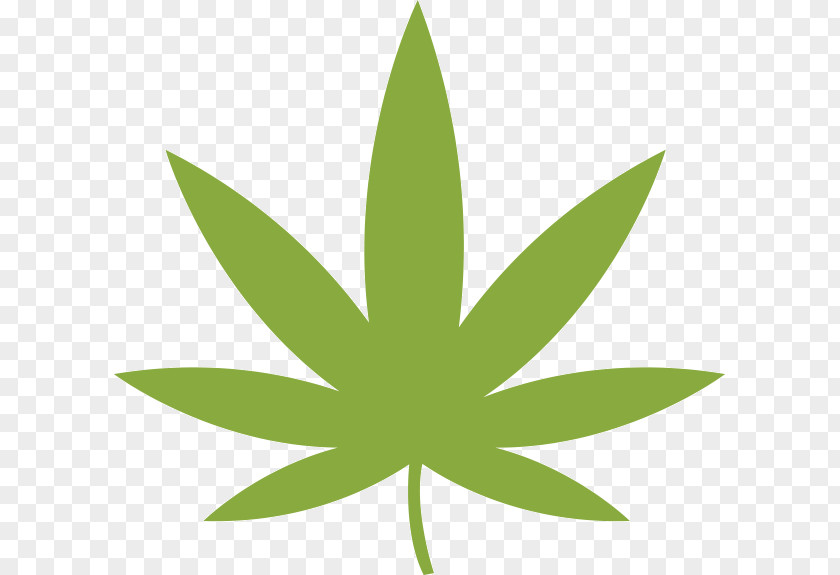 Cannabis Medical Vector Graphics Hemp PNG