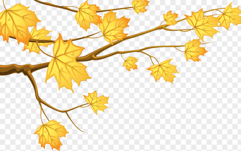 Cartoon Yellow Autumn Leaves Branch Like The Flowing River Author Publishing DC Books PNG