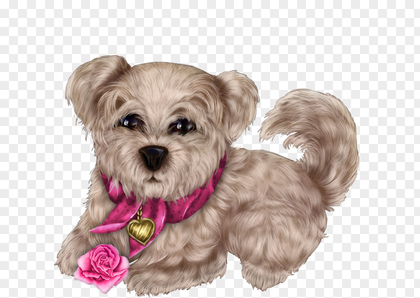 Cute Puppy Morkie Mood Blogger PNG