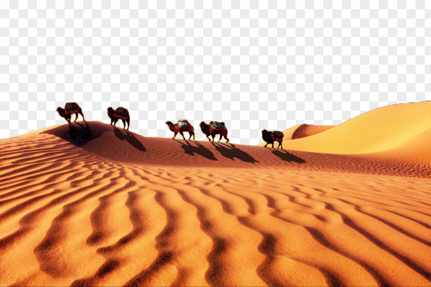 Desert Camel Team Beijing Datong Silk Roads: The Routes Network Of Changan-Tianshan Corridor Gobi One Belt Road Initiative PNG
