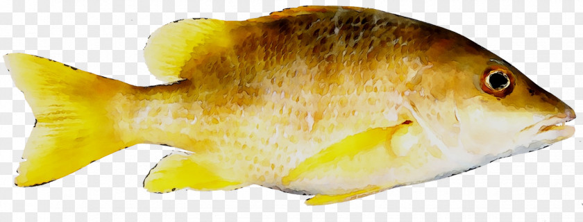 Image Clip Art CMYK Color Model Fish PNG