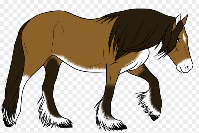 Read Below Horses Mule Mane Foal Mare Mustang PNG