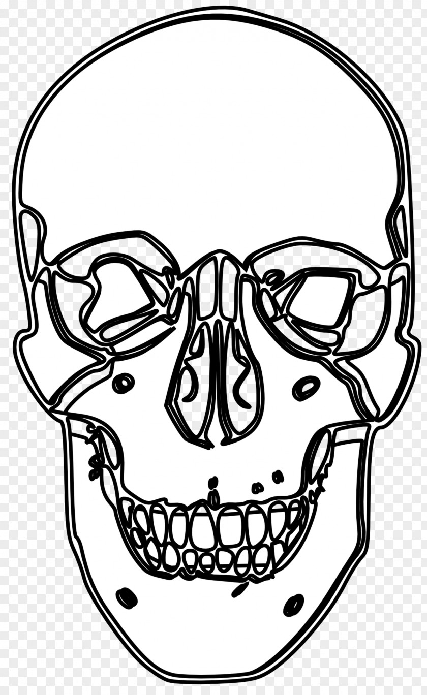 Skull-drawing Drawing Line Art Clip PNG