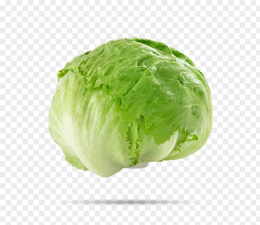 Iceberg Lettuce Food Vegetable Salad Organic PNG