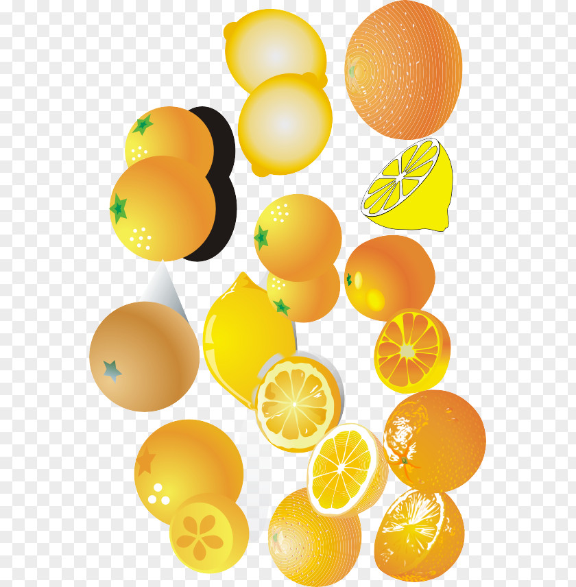 Orange Oranges Lemon Mandarin Valencia PNG
