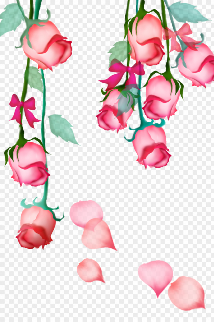 Pink Roses Garden Beach Rose Petal Flower PNG