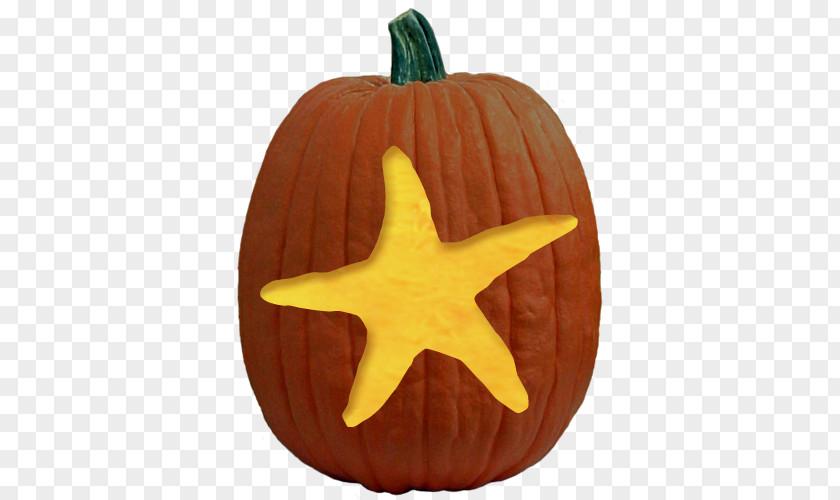 Pumpkin Watercolor Jack-o'-lantern Carving Halloween Stencil PNG