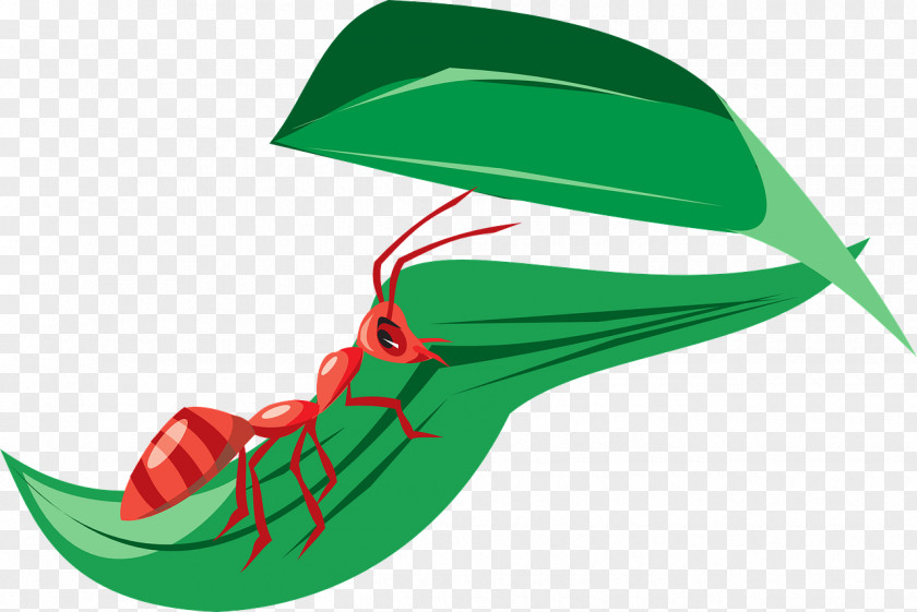 Red Ants Ant Leaf Clip Art PNG