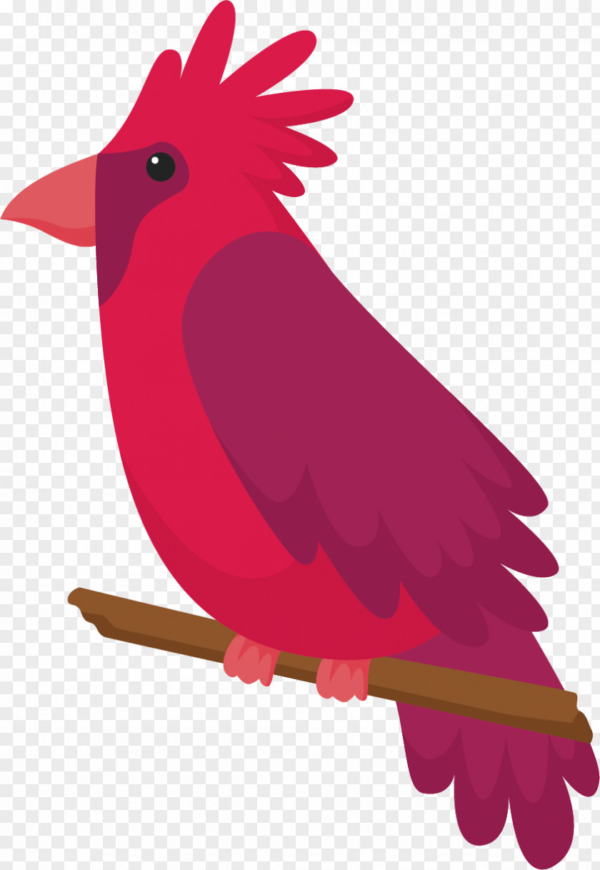 Red Crown Of The Big Parrot Bird Illustration PNG