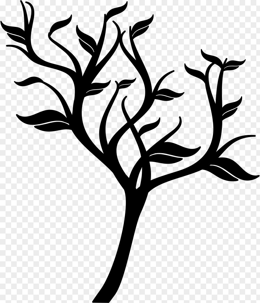 Tree Pruning Shape PNG
