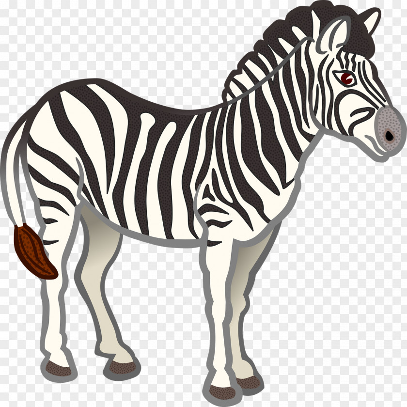 Zebra Clip Art PNG