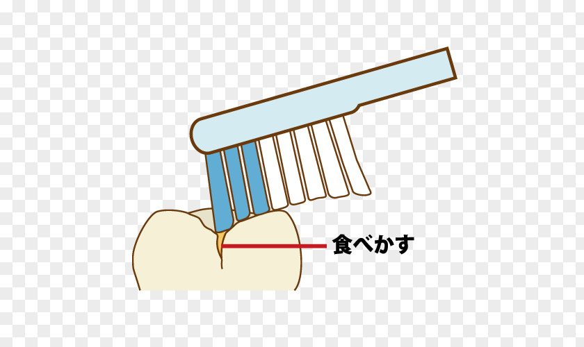 Captions Dentistry 歯科 Koizumi Dental Clinic Mori PNG