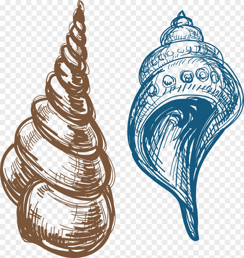 Conch Caracola Clip Art PNG