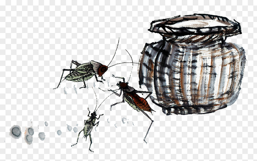Cricket Chinese Painting Drawing Ink Wash PNG