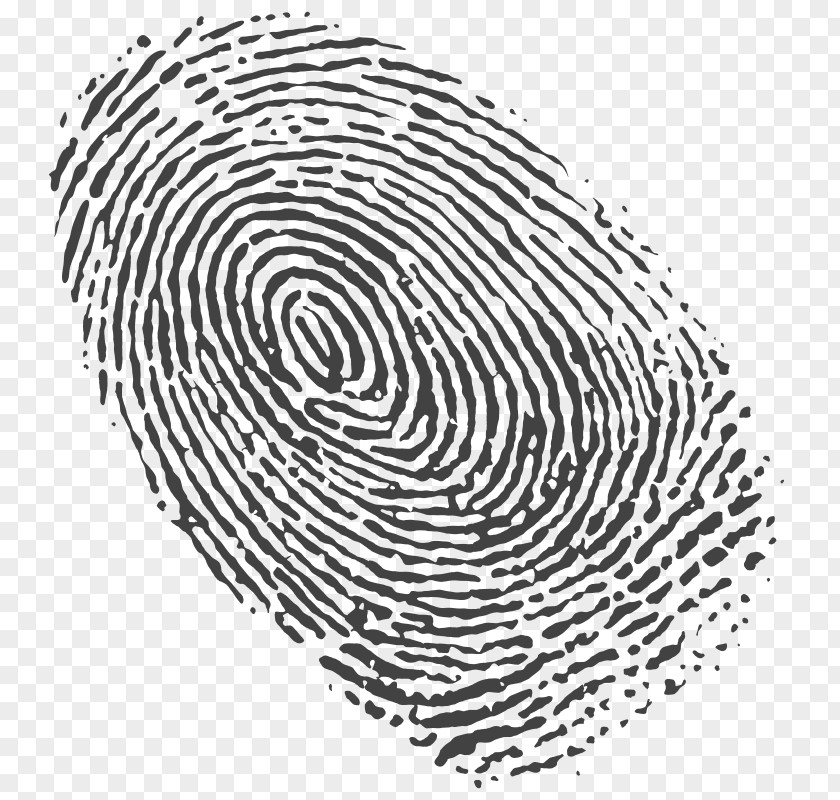 Fingerprint Spiral Clip Art PNG