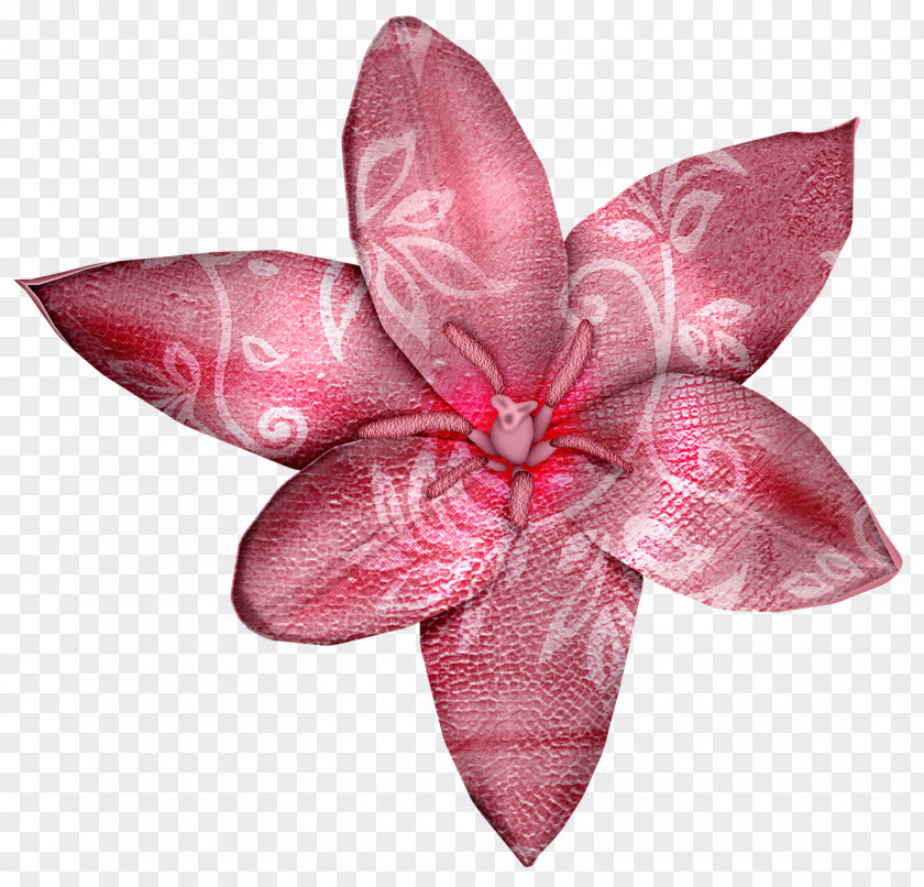 Flower Petal Cut Flowers PNG