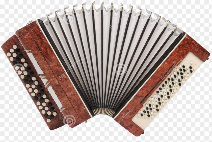 Musical Instruments Accordion Royalty-free Stock Photography PNG