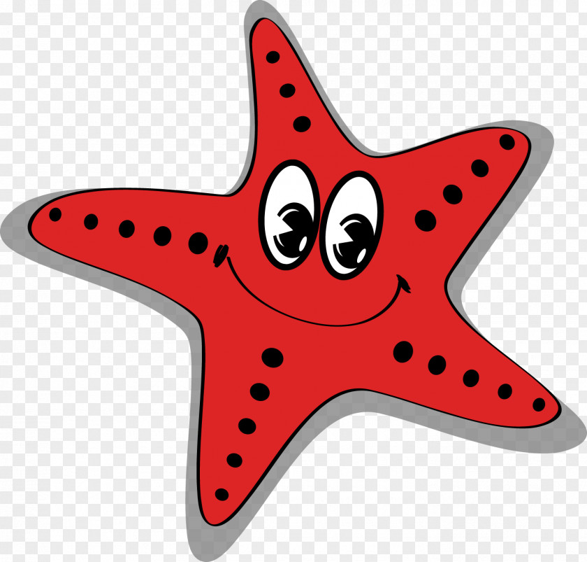 Vector Starfish Cartoon Sea PNG