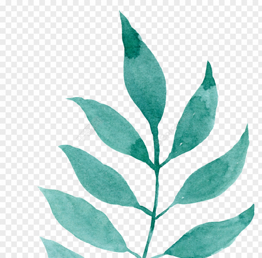 Watercolor Painting Watercolor: Flowers Leaf Image Illustration PNG