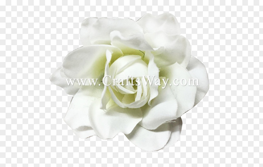 Camellia Peony Wedding Flower Background PNG