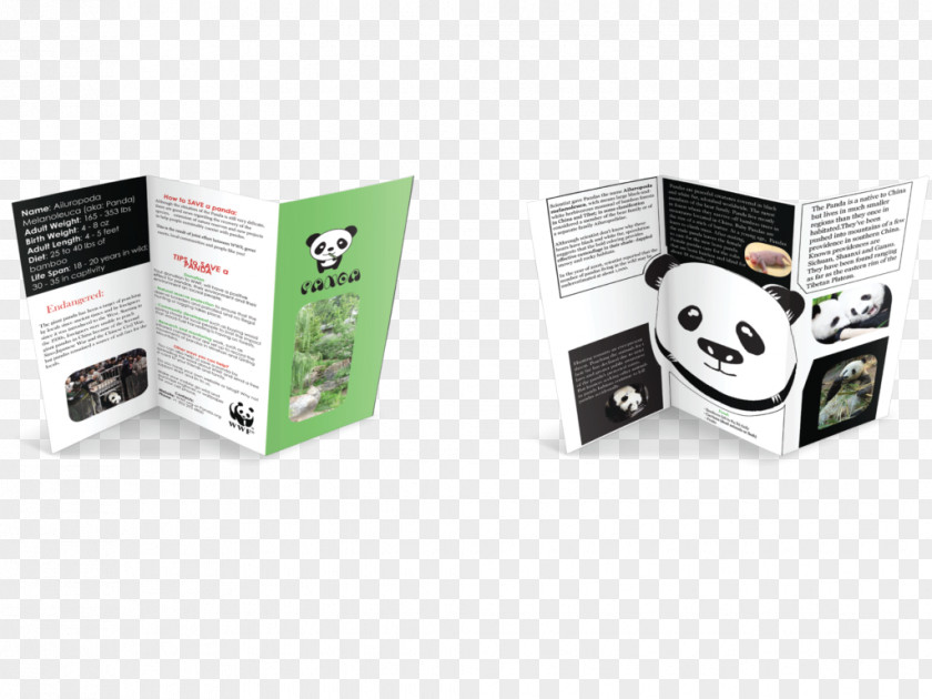 Ched Logo Giant Panda Information Brand PNG