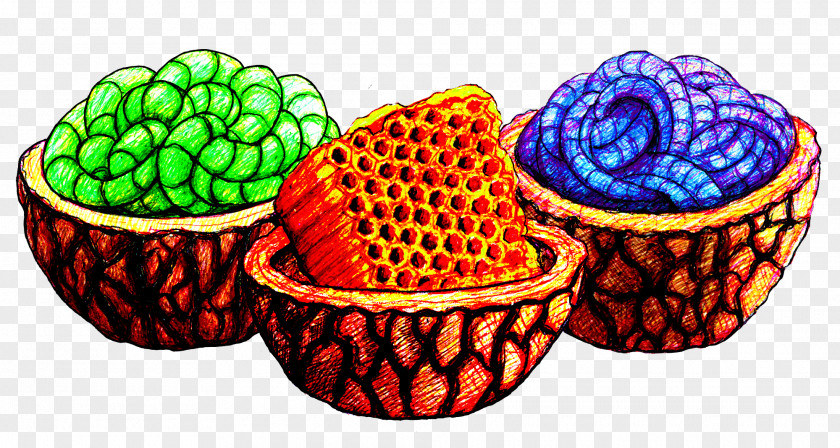 Drizzle Baking Cup Basket Fruit PNG