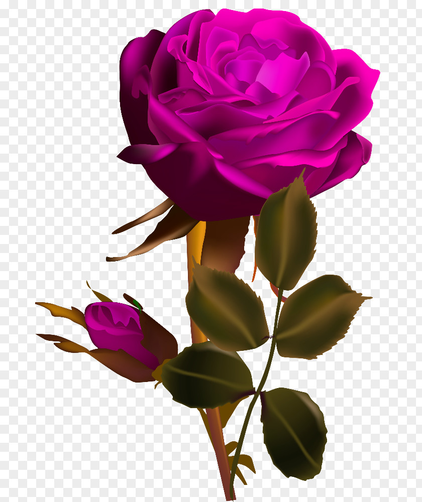 Loving Card Rose Flower Red Desktop Wallpaper Clip Art PNG