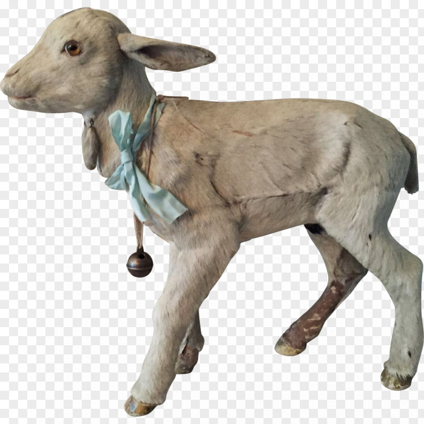 Sheep Goat Cattle Terrestrial Animal PNG