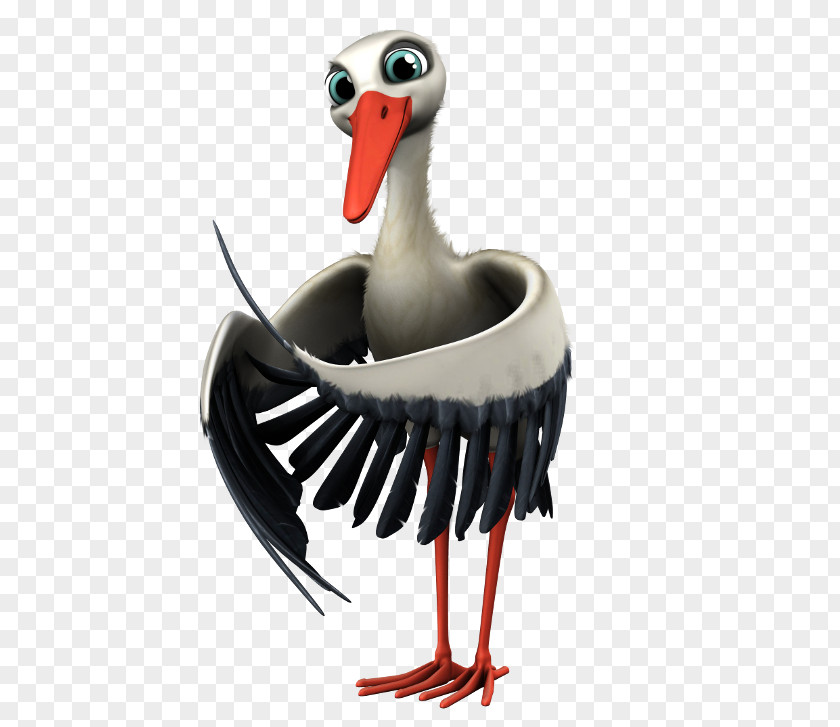 Storch Available In Different Size Goose White Stork Bird Wesseker See PNG