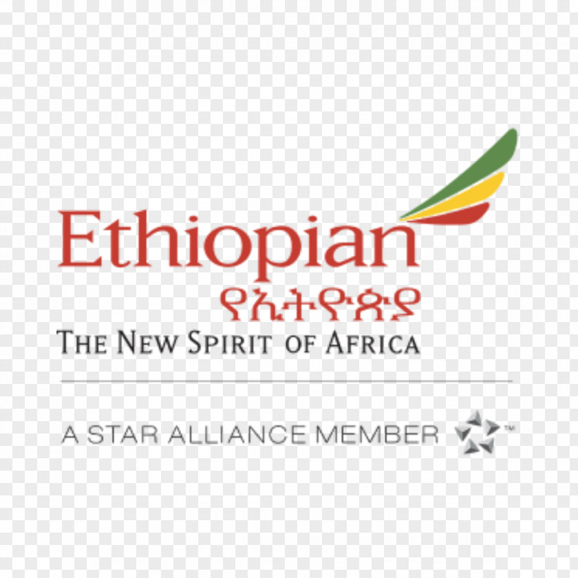 Travel Ethiopian Airlines Flight Addis Ababa Air Boeing 737 MAX PNG