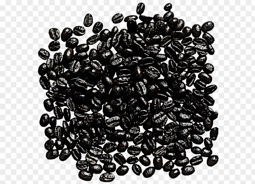 Black Gram Seed Food Superfood Bean Plant PNG