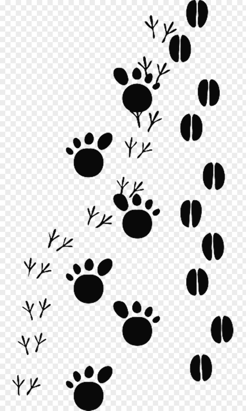 Cat Footprints Animal Track Footprint Clip Art PNG