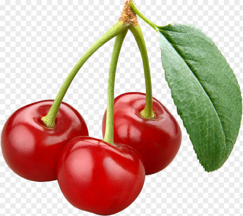 Cherry Bing Fruit Berry PNG