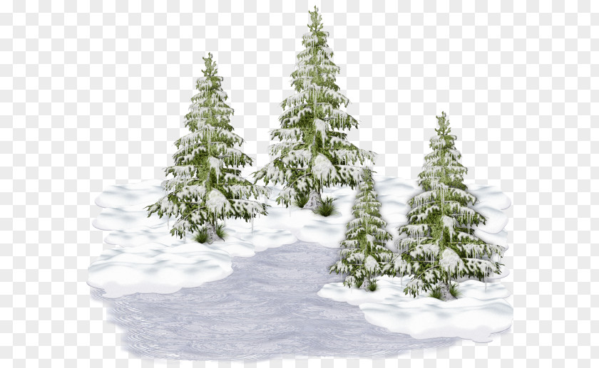 Christmas Tree Winter Holiday New Year PNG