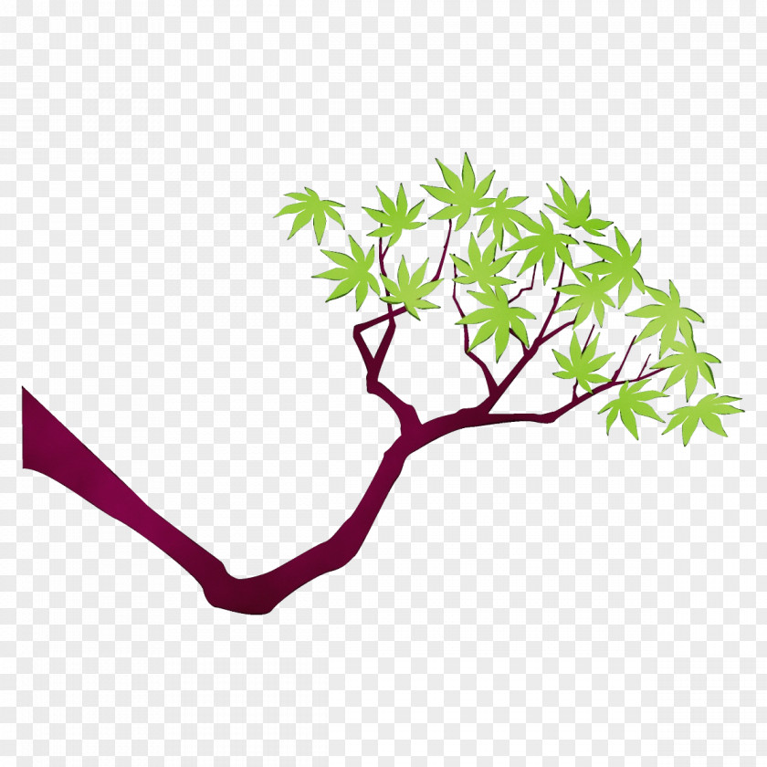 Flower Plant Stem Branch Leaf Tree PNG