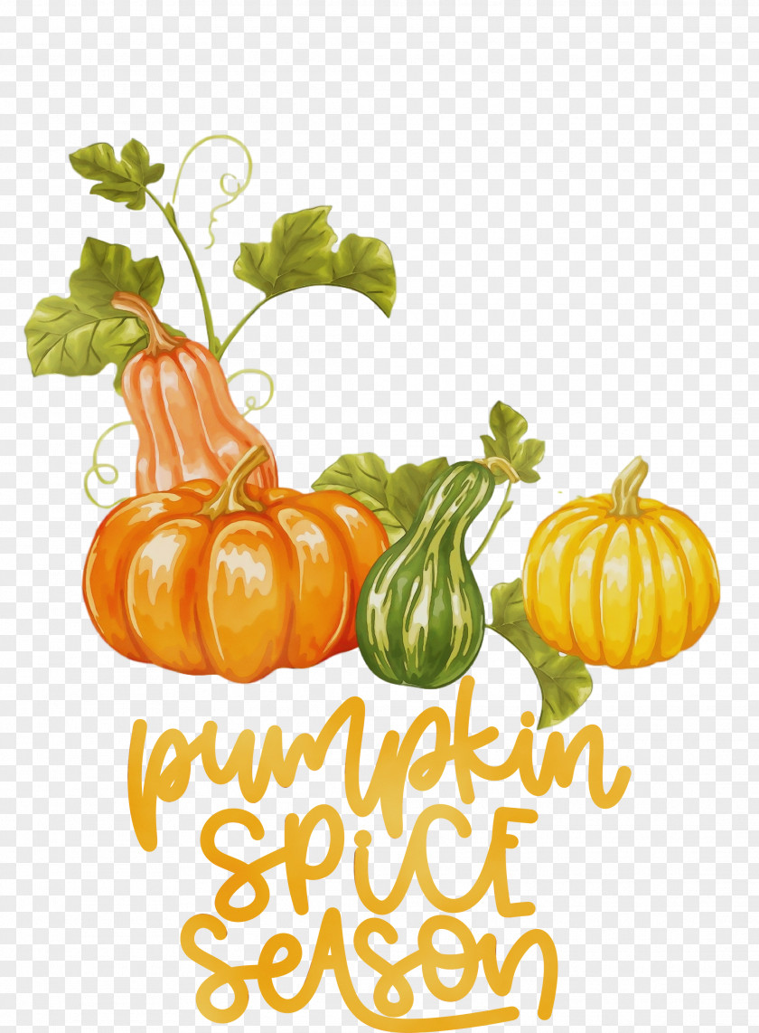 Pumpkin PNG