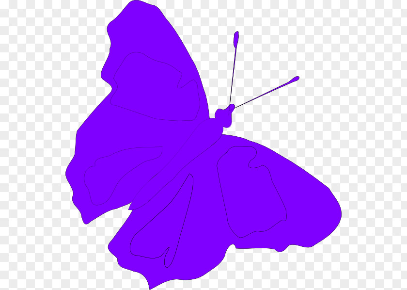 Purple Butterfly Light Blue Clip Art PNG