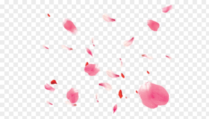 Valentines Day Magenta Pink Flower Cartoon PNG