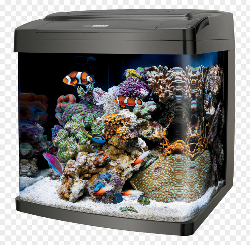 Aquarium Hydroponics Coralife LED Bio Cube 32 Reef Biocube Size 14 Stand 29/32 PNG