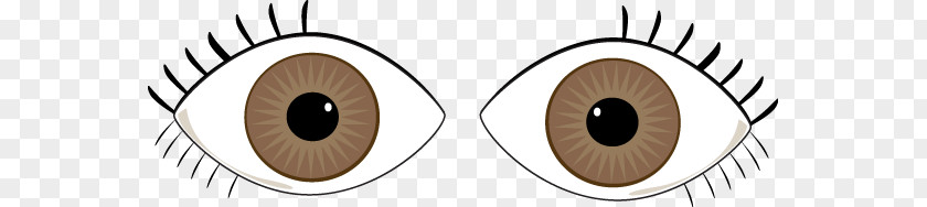 Brown Cliparts Eye Color Clip Art PNG