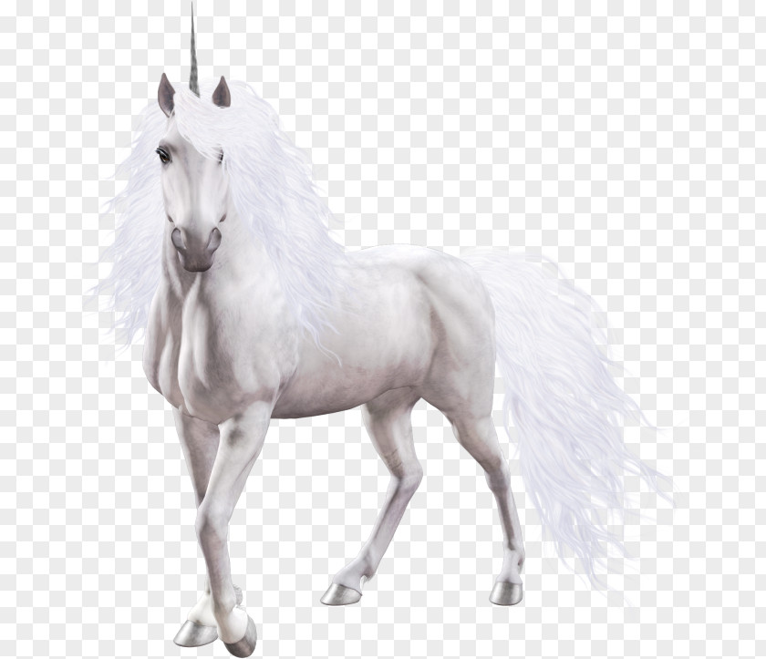 Horse Winged Unicorn Image PNG