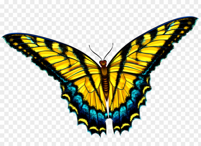 Smart Butterfly Pattern,butterfly Clip Art PNG