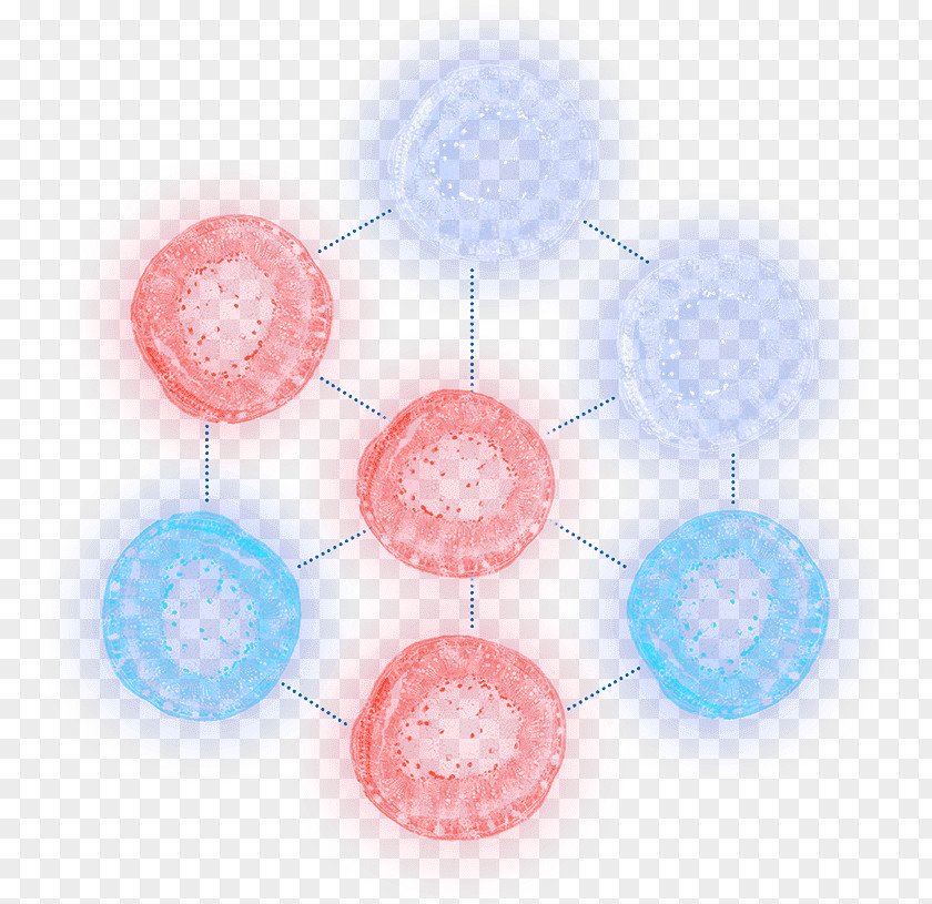 Design Circle Pattern PNG