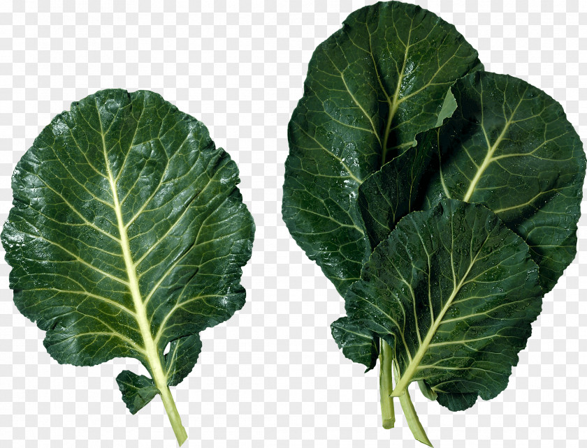 Green Salad Image Cuisine Of The Southern United States Marrow-stem Kale Soul Food Leaf Vegetable PNG