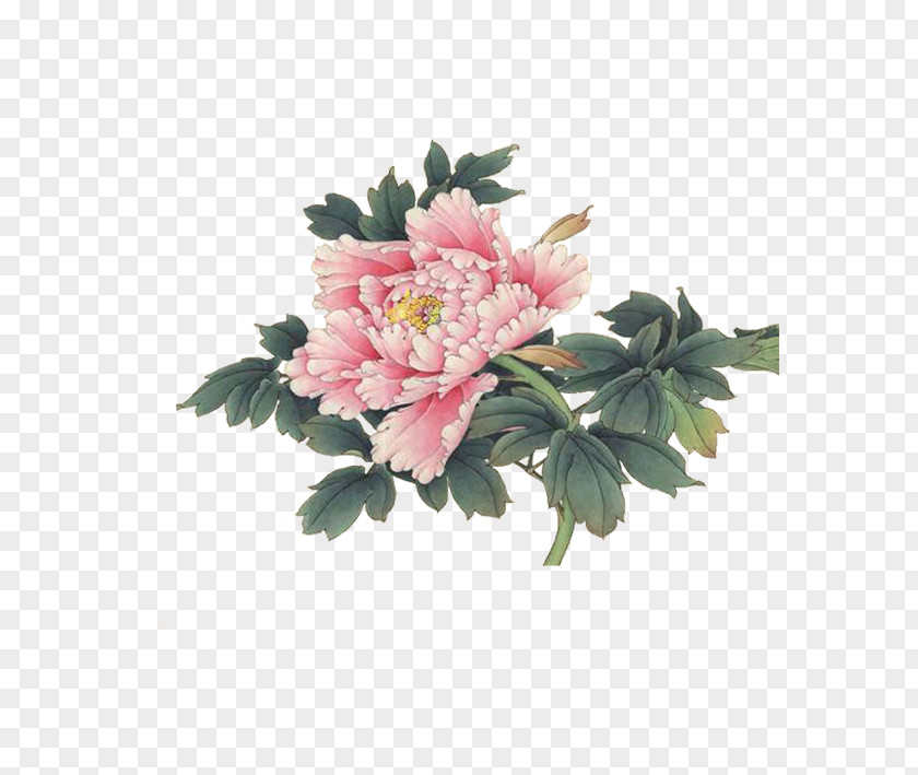 Peony Moutan Watercolor Painting Ink Wash PNG