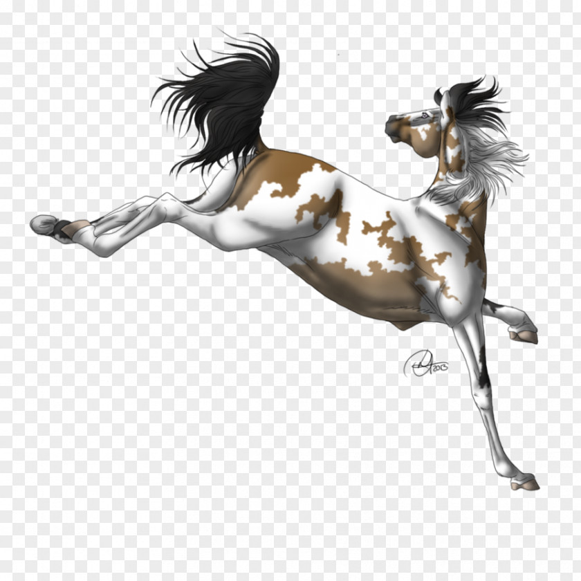 Dark Moon Mustang Stallion Halter Freikörperkultur PNG