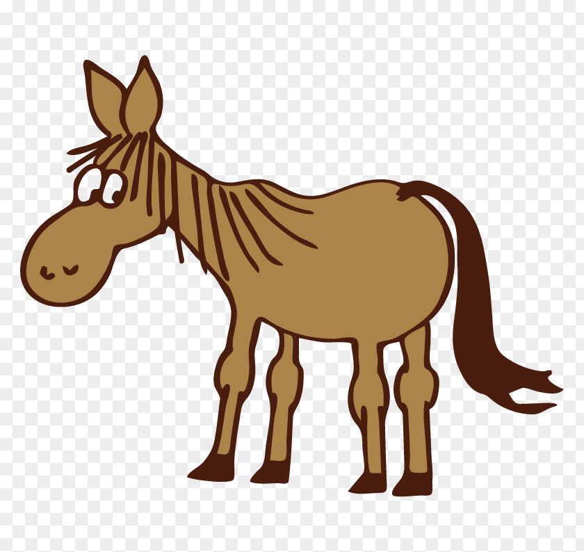 Donkey Mule Foal Mane Mare PNG